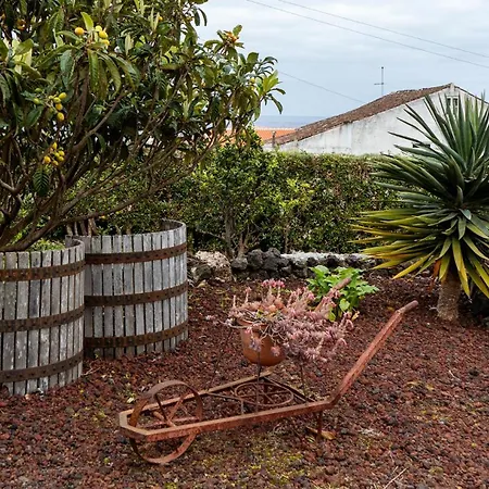Holiday home Charming House - House & Biscoitos (Terceira)