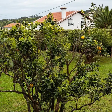 Charming House - House & Dom wakacyjny Biscoitos (Terceira)