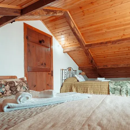 Charming House - House & *